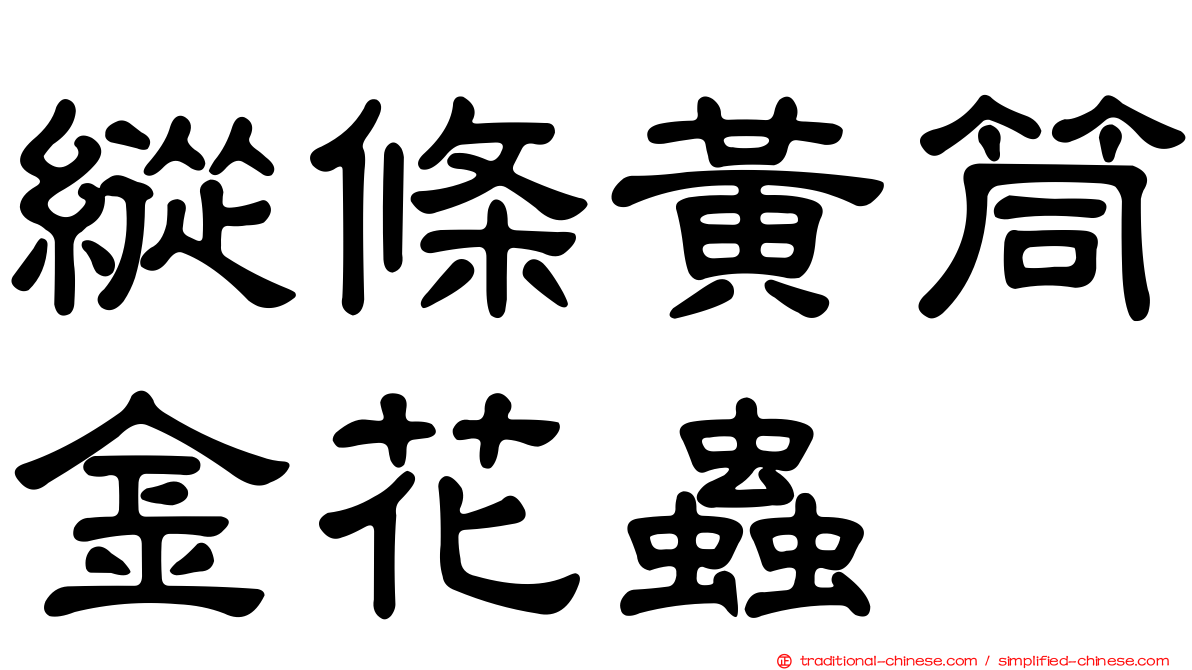 縱條黃筒金花蟲