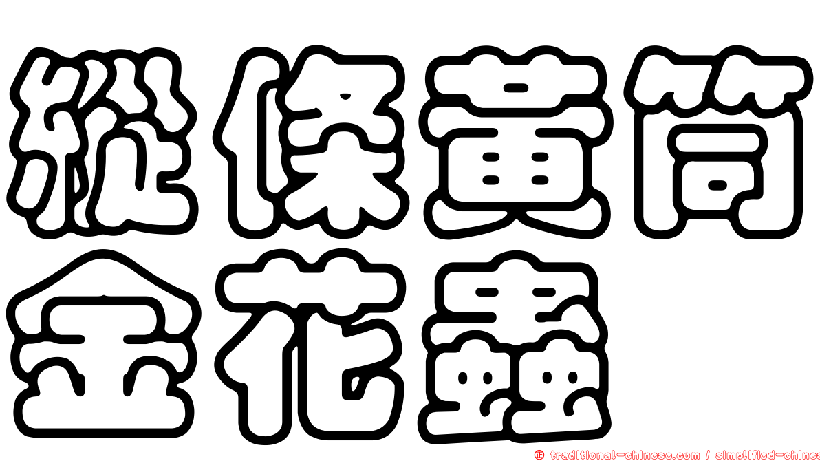 縱條黃筒金花蟲