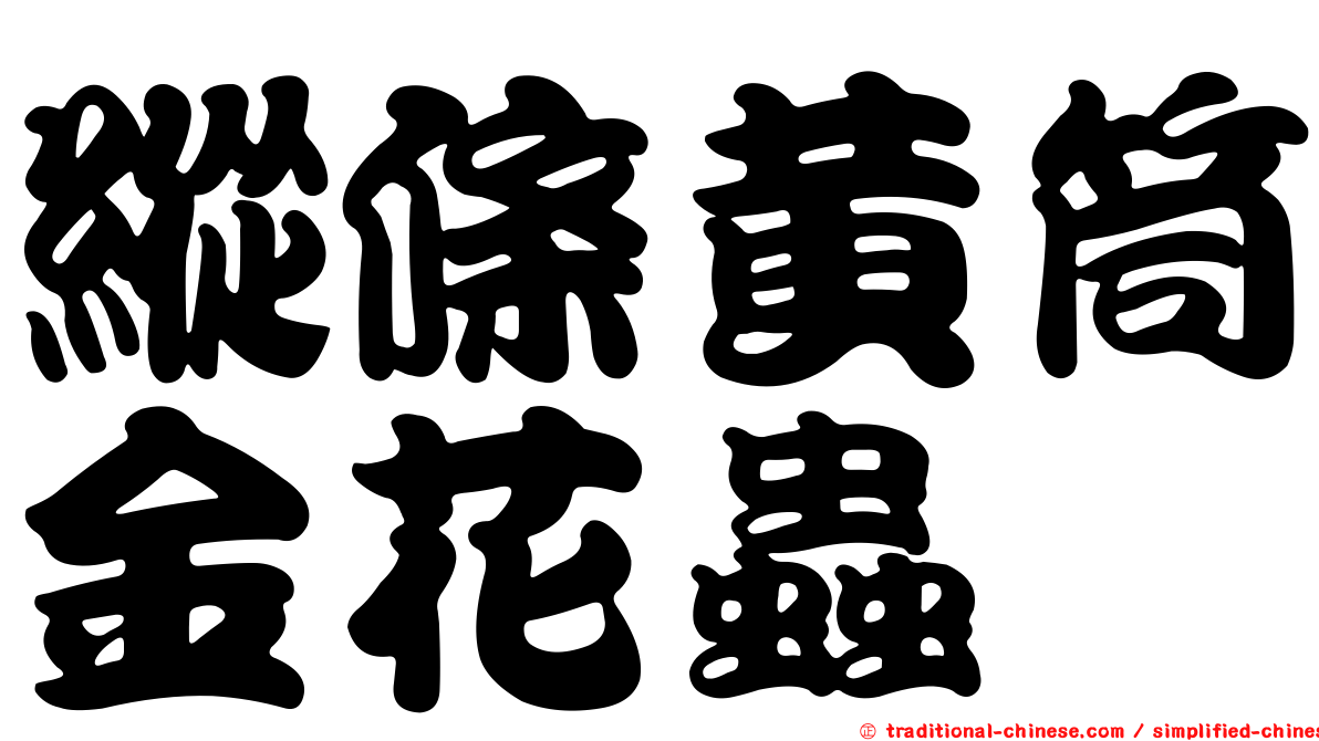 縱條黃筒金花蟲