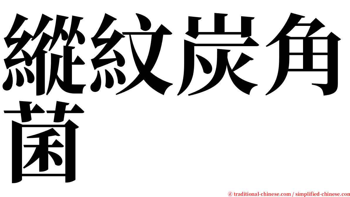 縱紋炭角菌 serif font