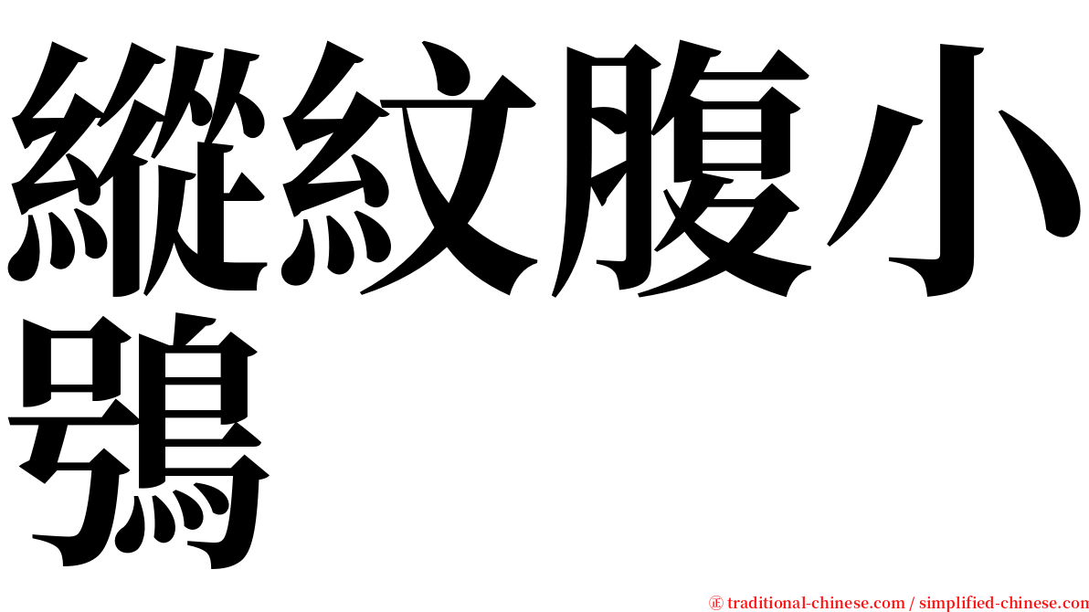 縱紋腹小鴞 serif font