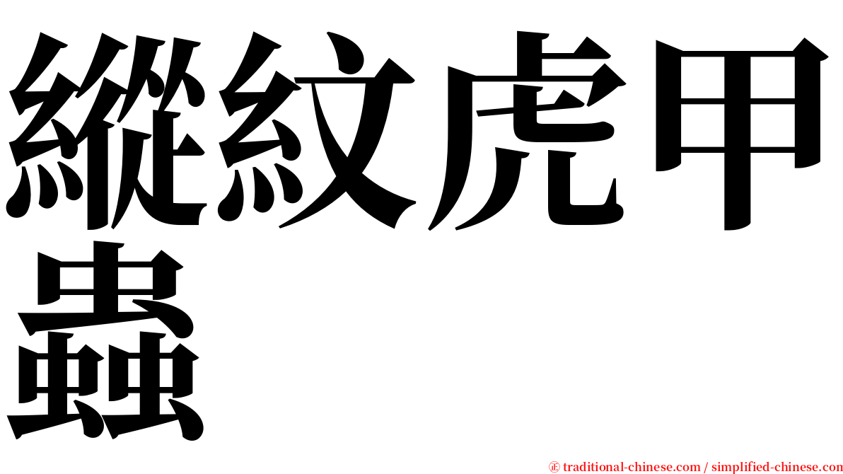 縱紋虎甲蟲 serif font