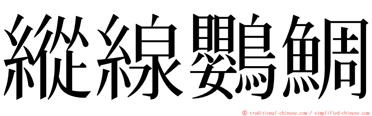 縱線鸚鯛 ming font