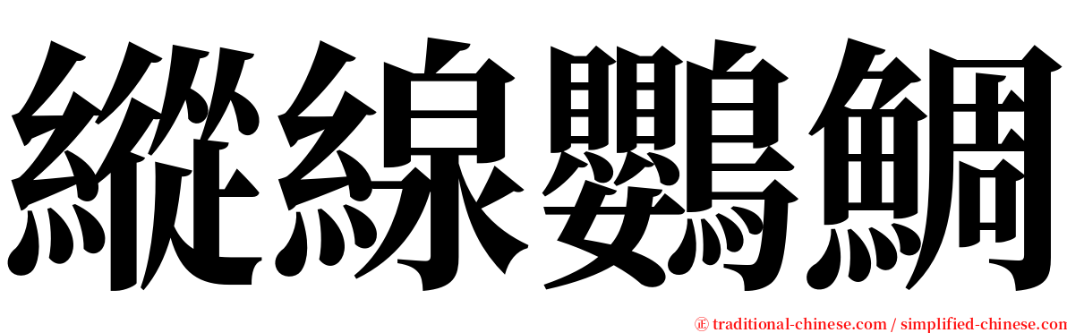 縱線鸚鯛 serif font