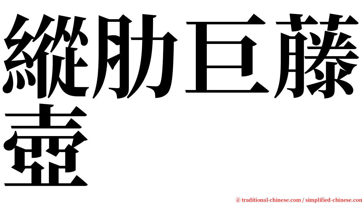 縱肋巨藤壺 serif font