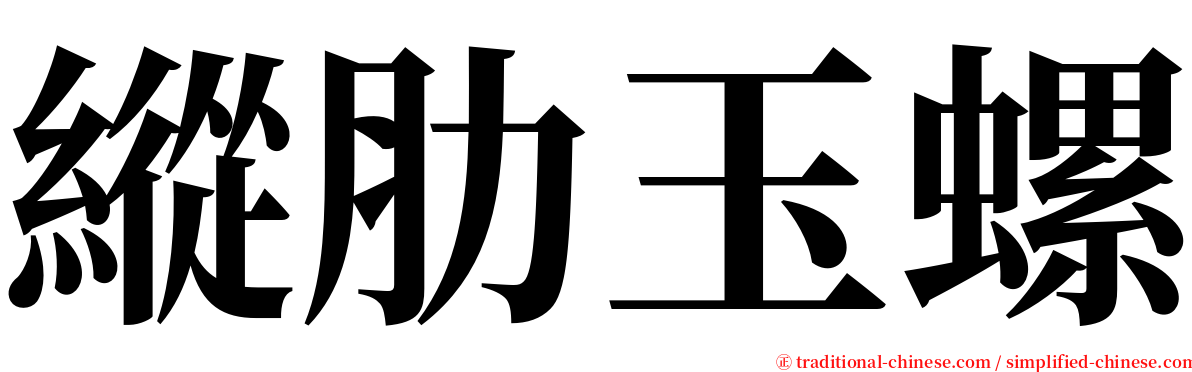 縱肋玉螺 serif font