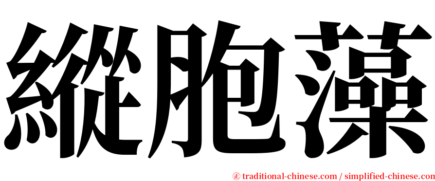 縱胞藻 serif font