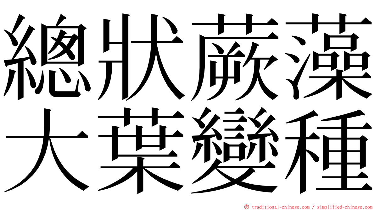 總狀蕨藻大葉變種 ming font