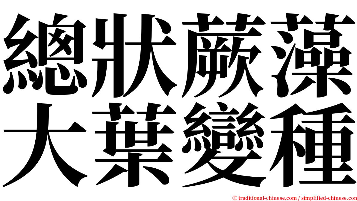 總狀蕨藻大葉變種 serif font