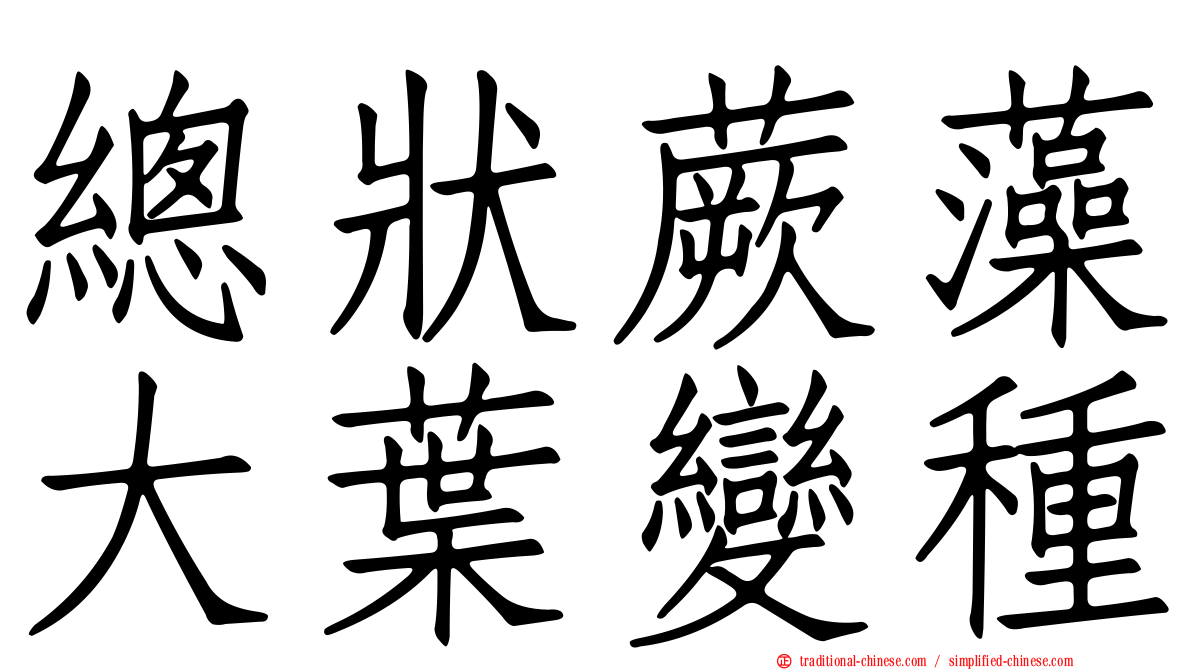 總狀蕨藻大葉變種
