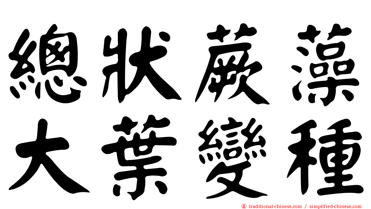 總狀蕨藻大葉變種