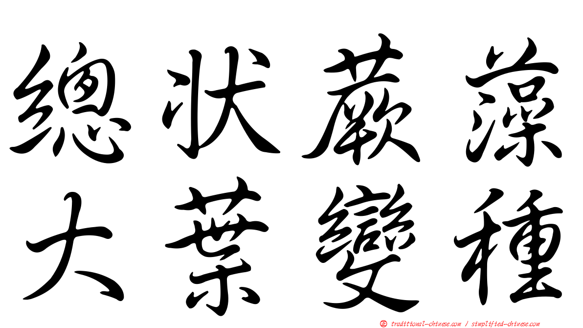 總狀蕨藻大葉變種