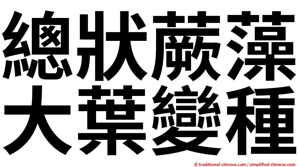 總狀蕨藻大葉變種