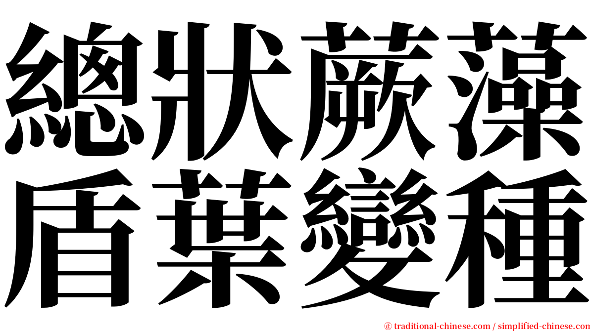 總狀蕨藻盾葉變種 serif font