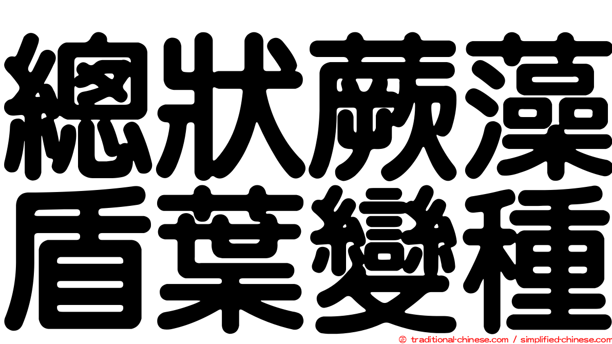 總狀蕨藻盾葉變種