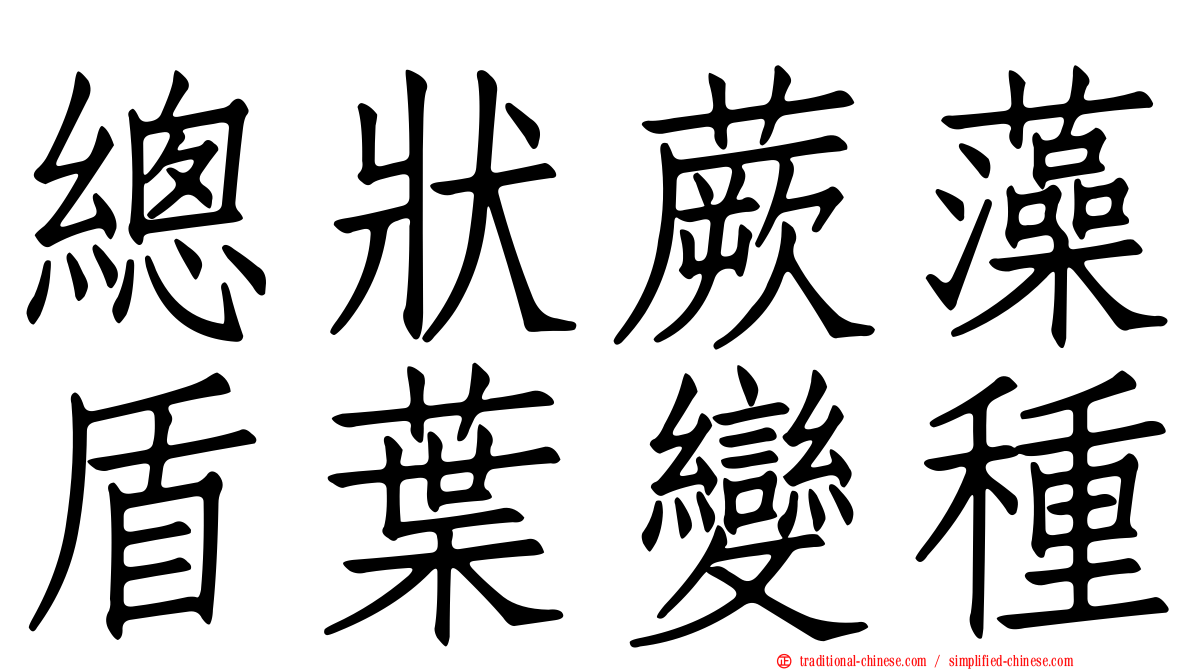 總狀蕨藻盾葉變種