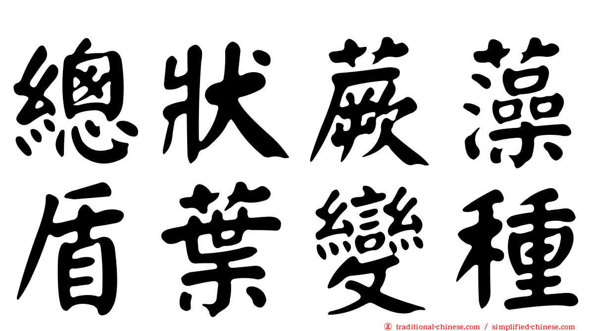 總狀蕨藻盾葉變種
