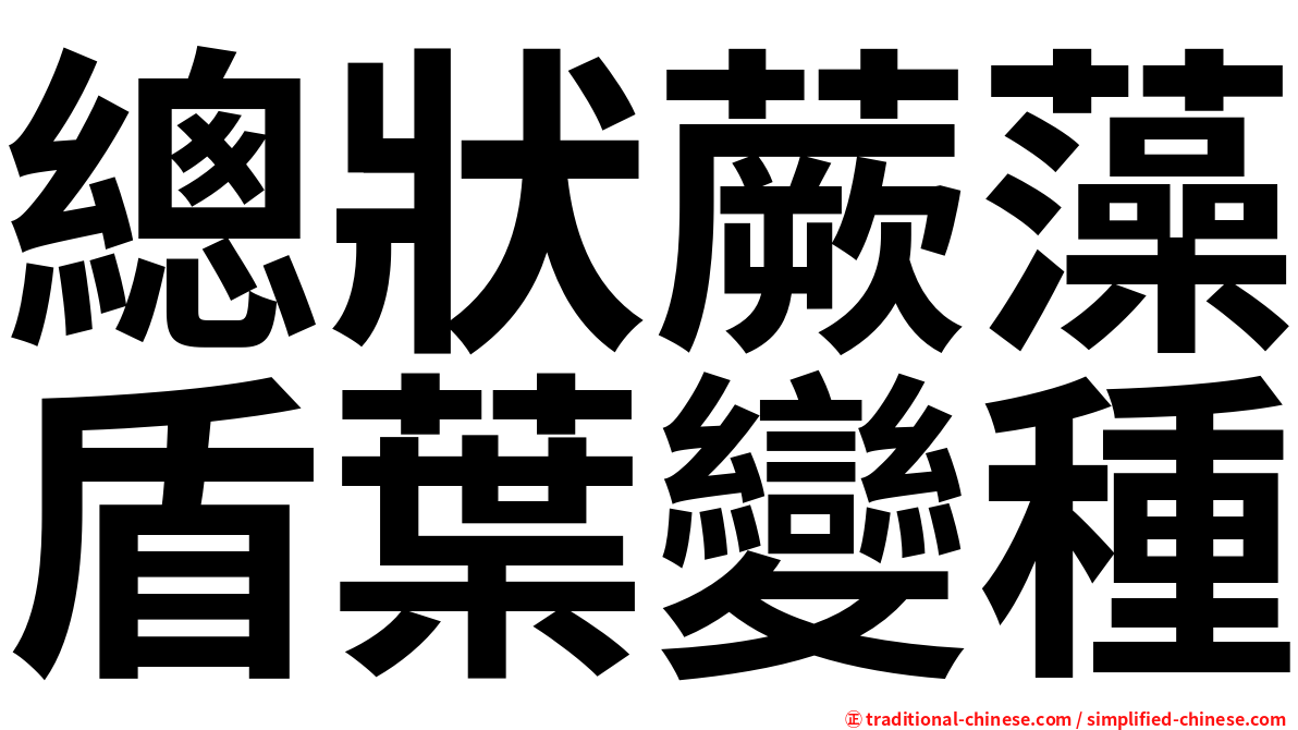 總狀蕨藻盾葉變種