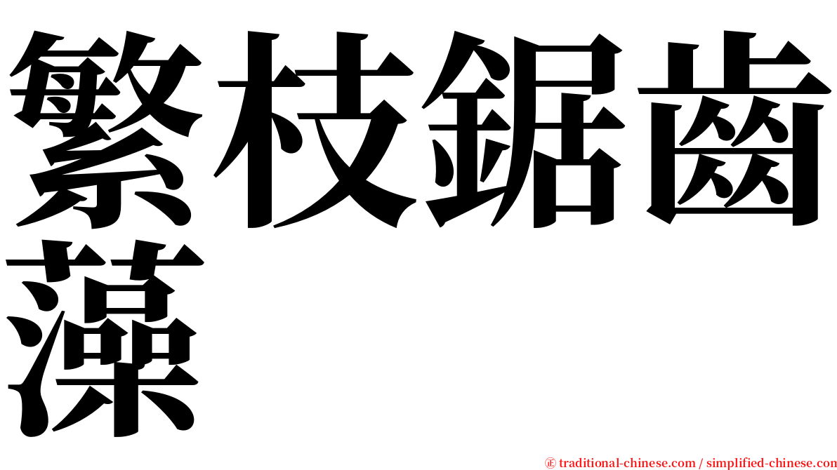 繁枝鋸齒藻 serif font