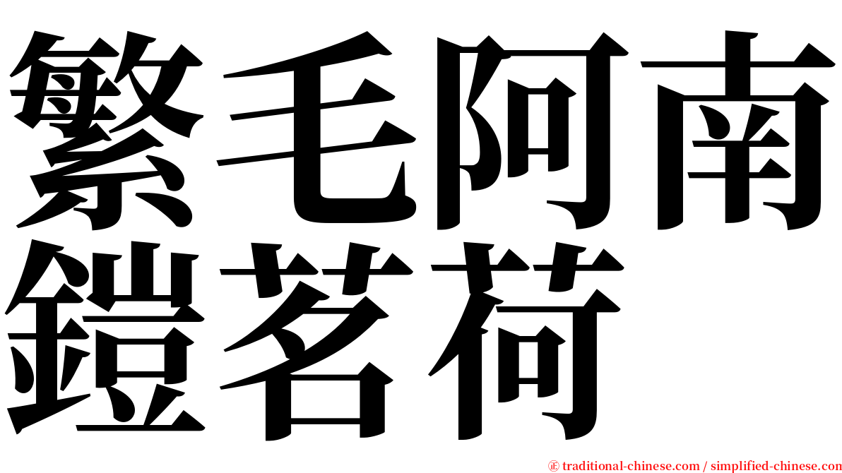 繁毛阿南鎧茗荷 serif font