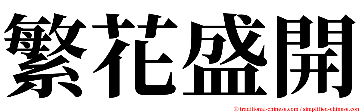 繁花盛開 serif font