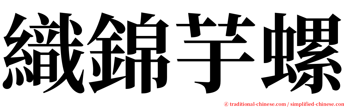 織錦芋螺 serif font