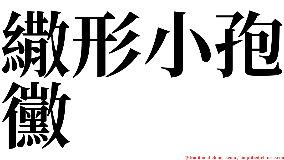 繖形小孢黴 serif font