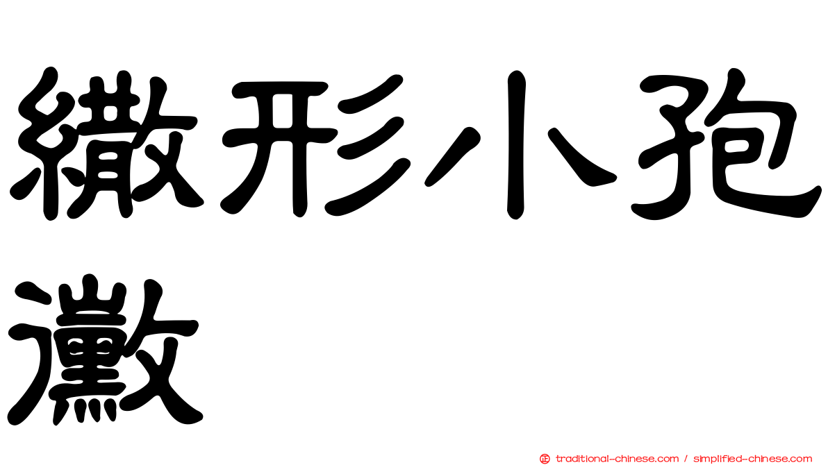 繖形小孢黴