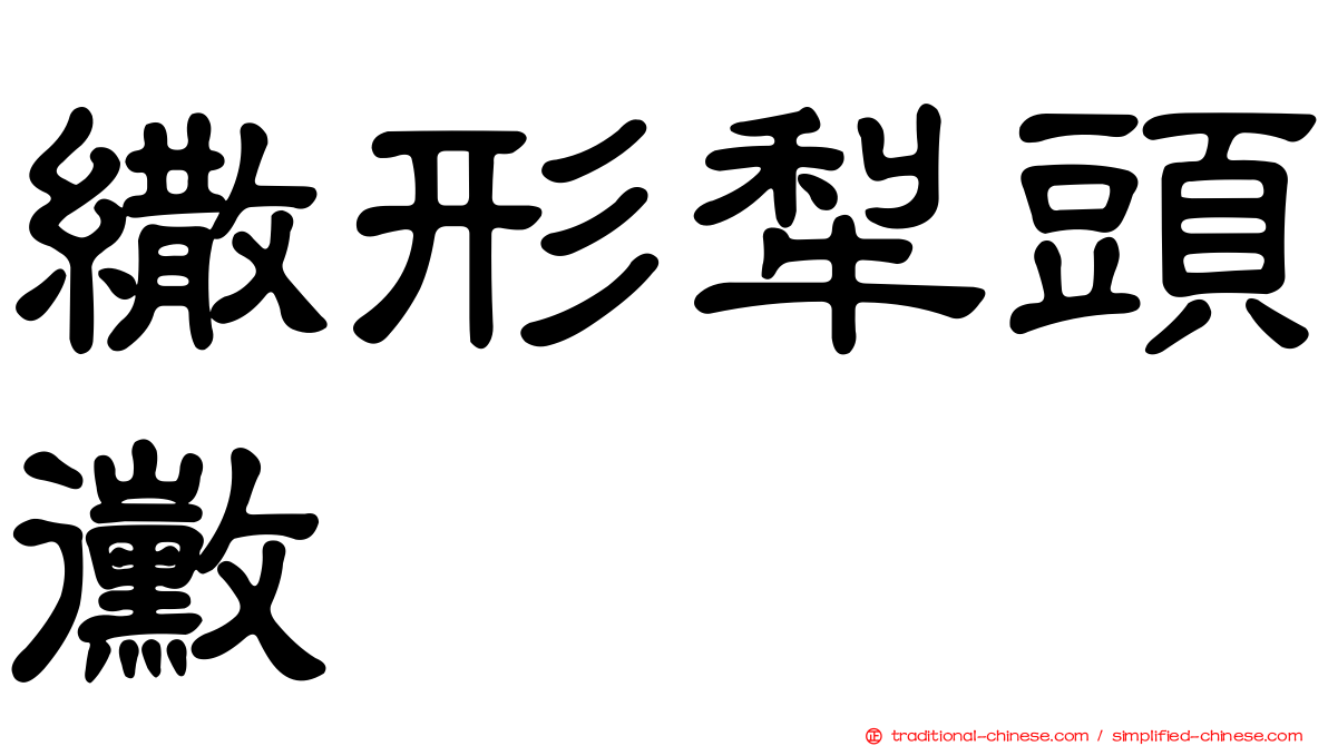 繖形犁頭黴