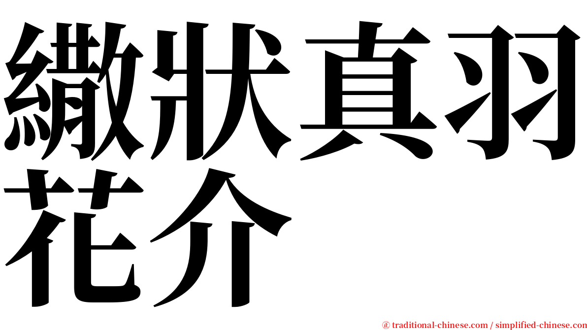 繖狀真羽花介 serif font