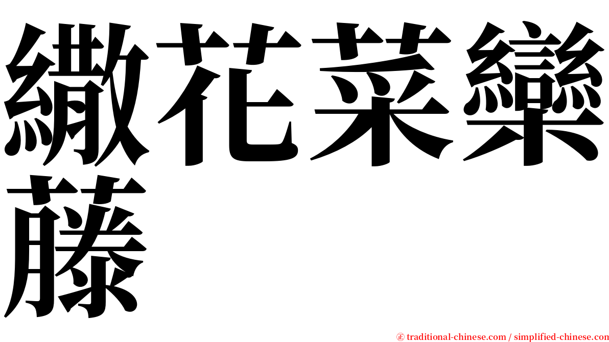 繖花菜欒藤 serif font