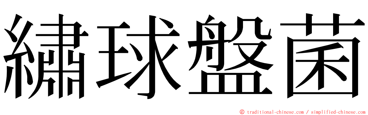 繡球盤菌 ming font