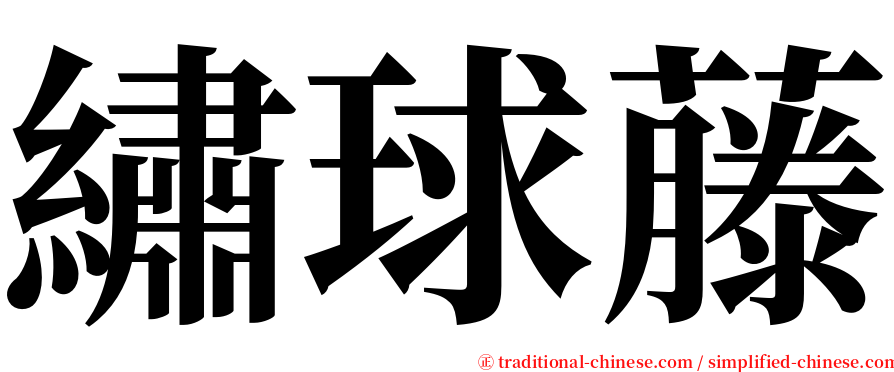 繡球藤 serif font