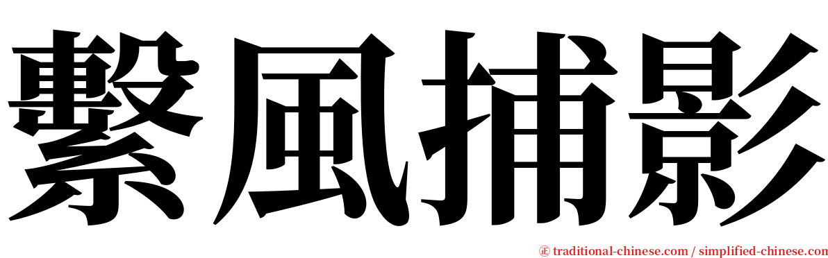 繫風捕影 serif font