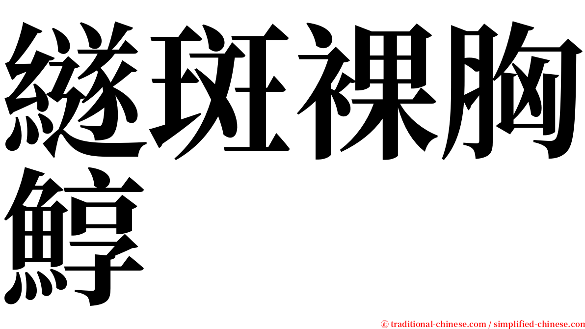 繸斑裸胸鯙 serif font