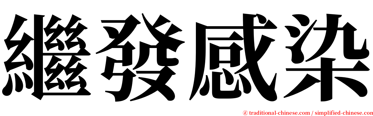 繼發感染 serif font