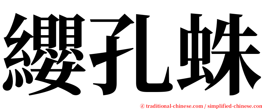 纓孔蛛 serif font