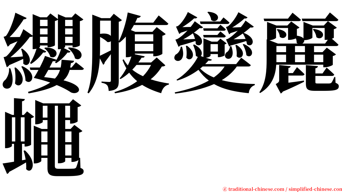 纓腹變麗蠅 serif font