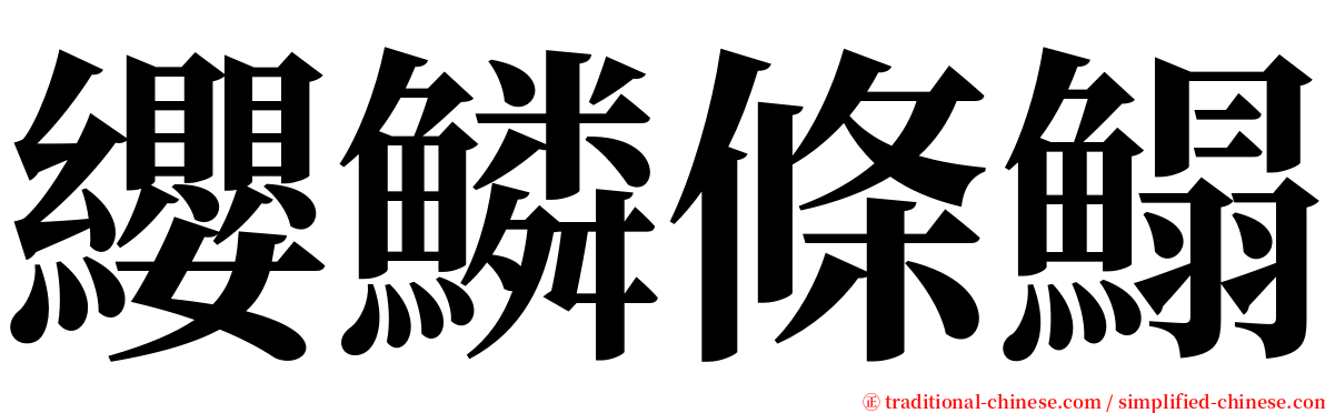 纓鱗條鰨 serif font