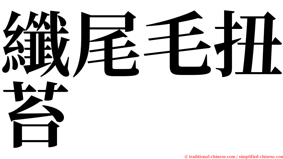 纖尾毛扭苔 serif font