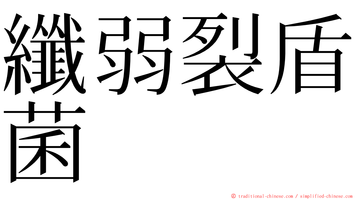 纖弱裂盾菌 ming font