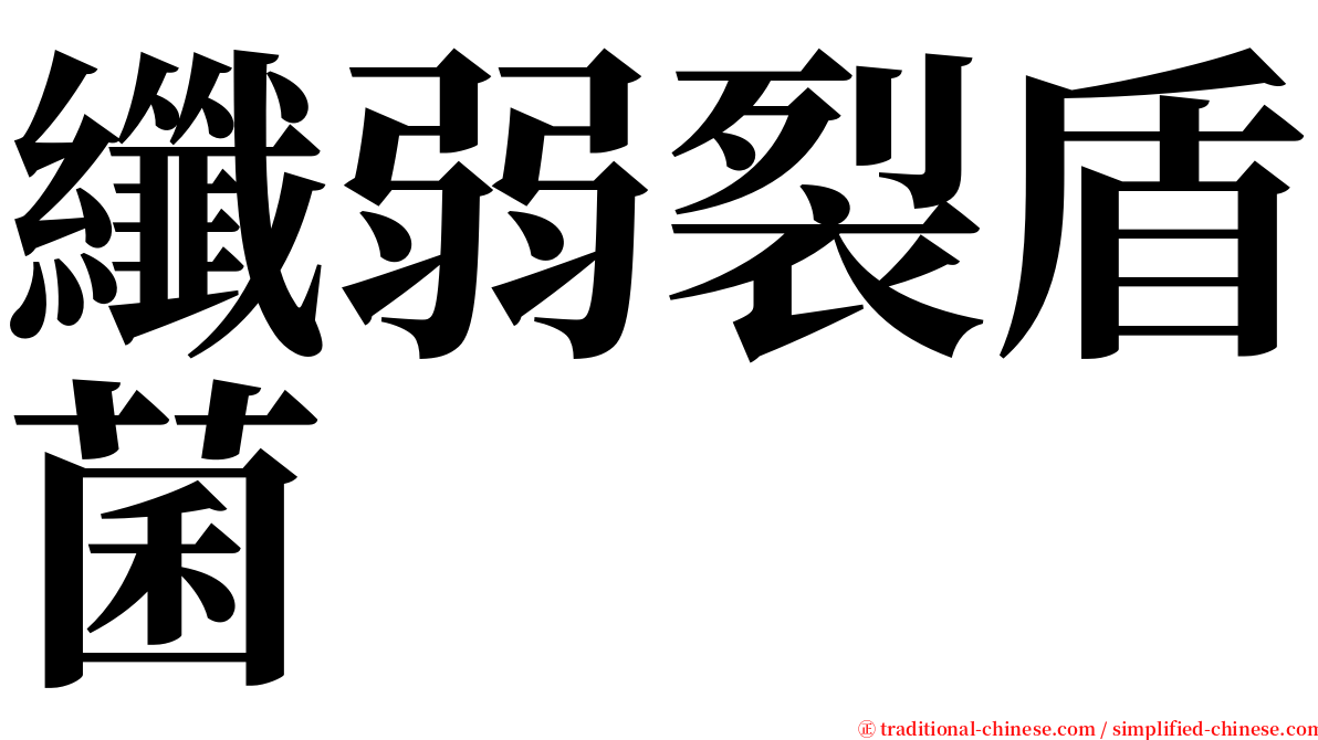 纖弱裂盾菌 serif font