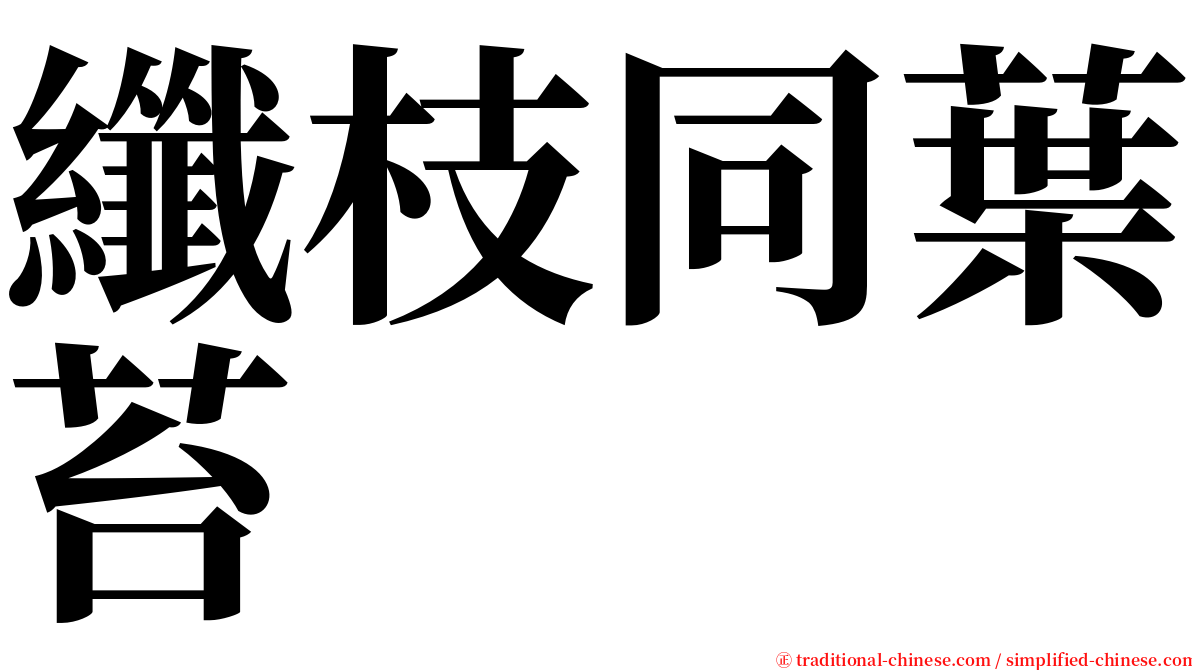 纖枝同葉苔 serif font