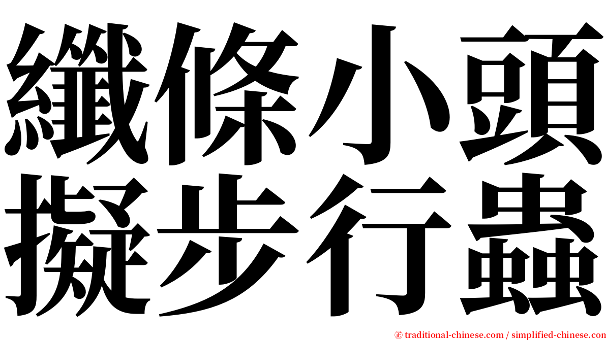 纖條小頭擬步行蟲 serif font