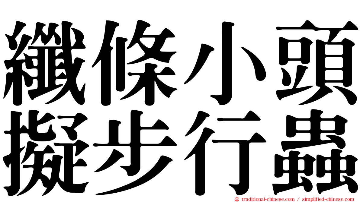 纖條小頭擬步行蟲