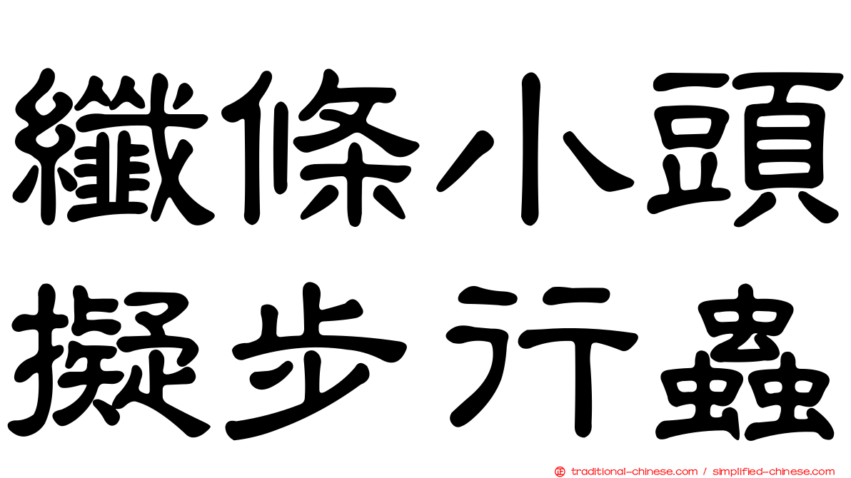 纖條小頭擬步行蟲