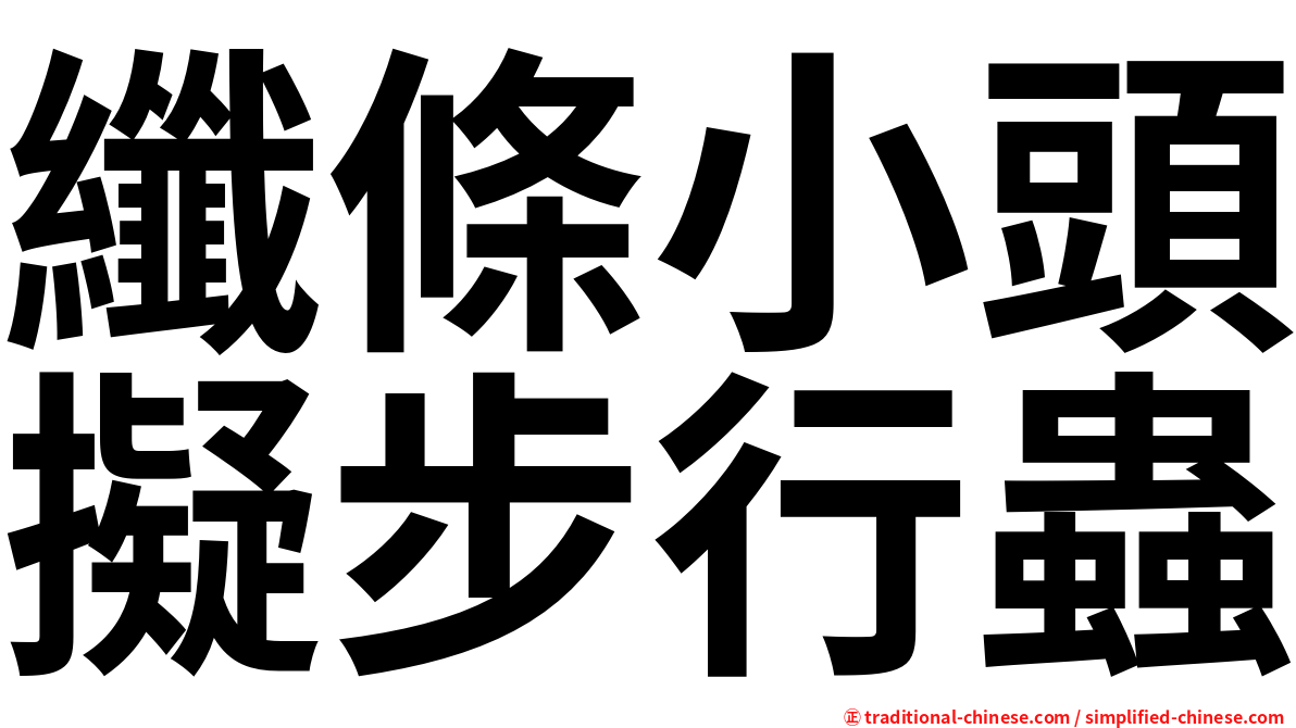 纖條小頭擬步行蟲