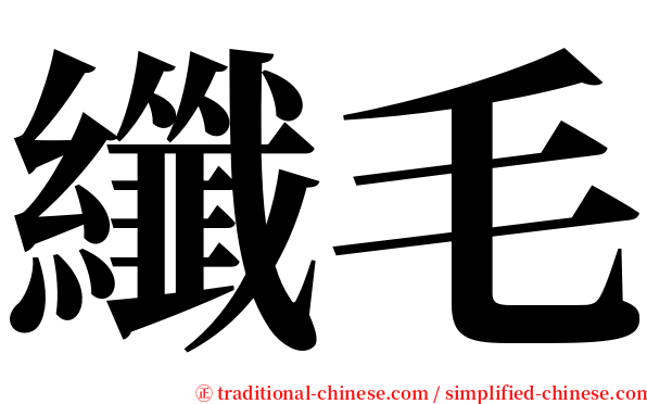 纖毛 serif font