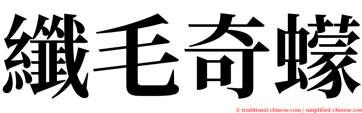 纖毛奇蠓 serif font