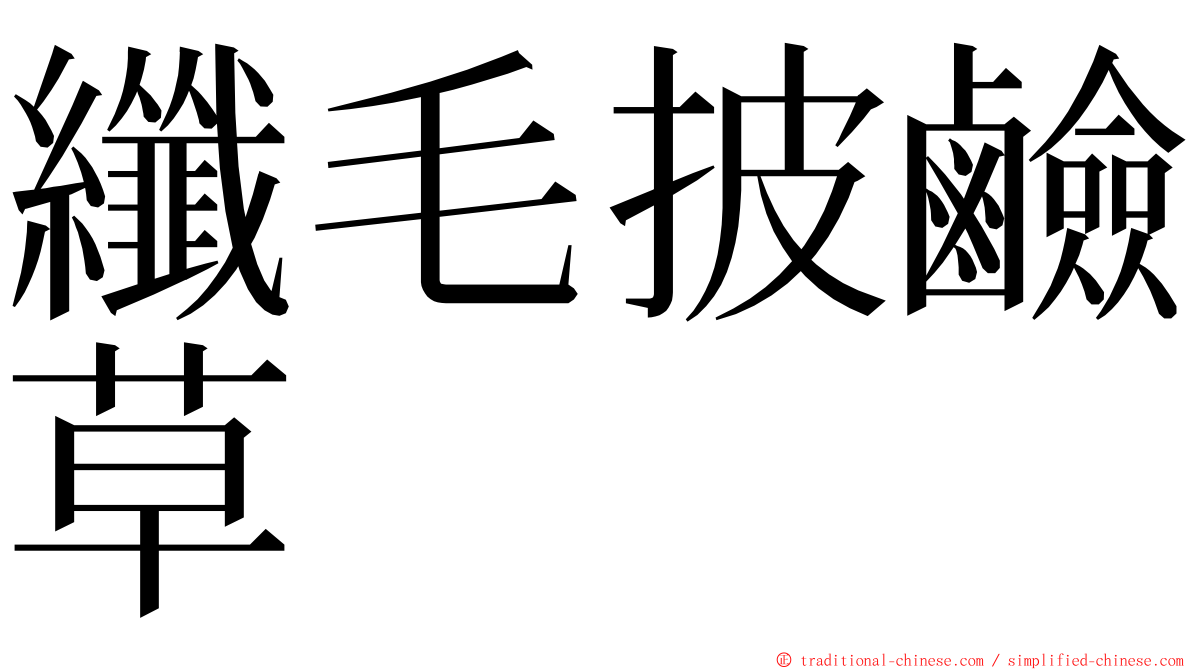 纖毛披鹼草 ming font